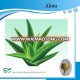 Aloe Vera Leaf Extract Freeze Dried Powder 100:1 200:1 Aloin 10%20%30%